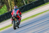 Lower Group Black Bikes